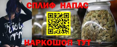 шишки Конаково