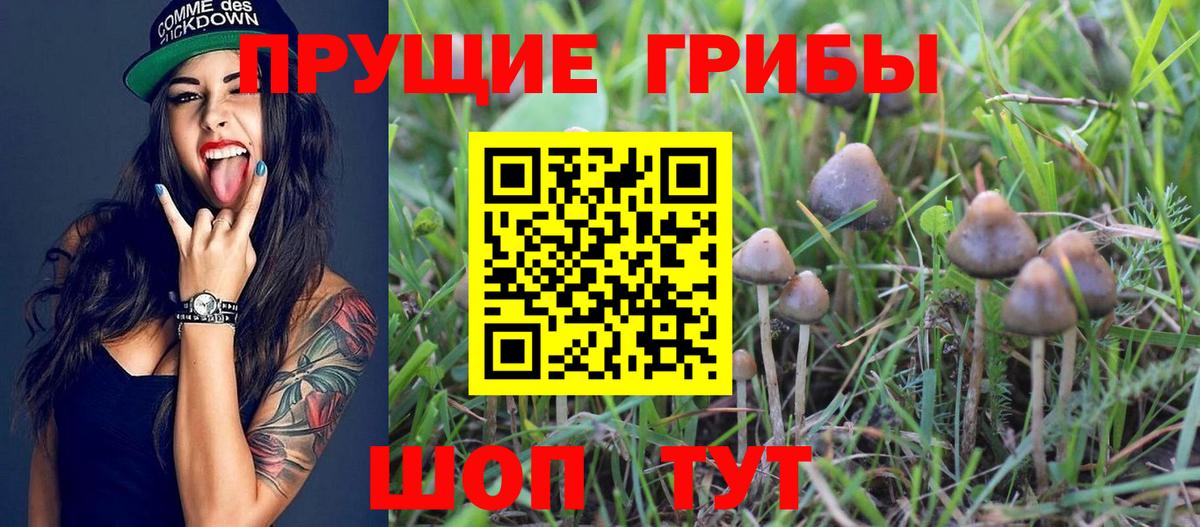 продажа наркотиков  Вход с VPN  Нижний Новгород  Псилоцибиновые грибы мухоморы 