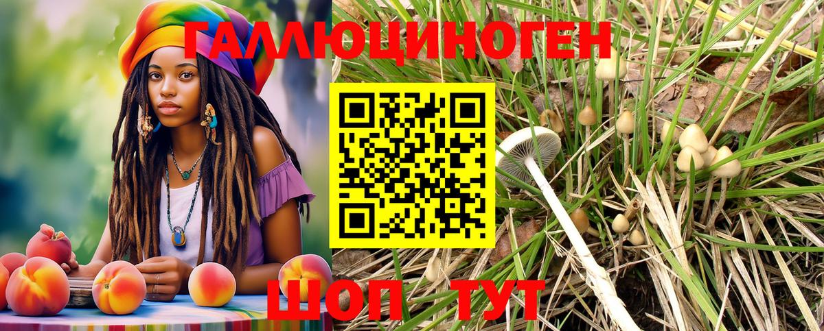 Псилоцибиновые грибы Psilocybine cubensis Нижний Новгород